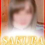 ヒメ日記 2025/11/12 11:52 投稿 せら clubさくら京橋店