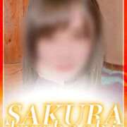 ヒメ日記 2025/11/14 11:52 投稿 せら clubさくら京橋店