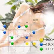 ヒメ日記 2026/01/26 08:00 投稿 桜咲　あこ Amateras～アマテラス～