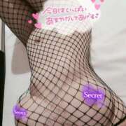 ヒメ日記 2026/01/21 13:57 投稿 こゆき ぷるるん小町梅田店