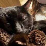 ヒメ日記 2025/11/27 21:53 投稿 うみ イキなり生彼女from大宮