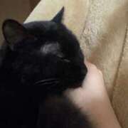 ヒメ日記 2026/01/27 20:40 投稿 うみ イキなり生彼女from大宮