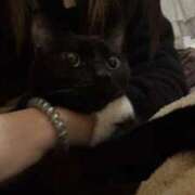 ヒメ日記 2026/01/29 23:50 投稿 うみ イキなり生彼女from大宮