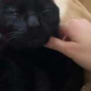 ヒメ日記 2026/02/02 00:16 投稿 うみ イキなり生彼女from大宮