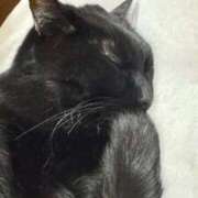 ヒメ日記 2026/02/11 23:50 投稿 うみ イキなり生彼女from大宮