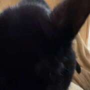 ヒメ日記 2026/02/26 00:50 投稿 うみ イキなり生彼女from大宮