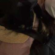 ヒメ日記 2026/03/06 21:20 投稿 うみ イキなり生彼女from大宮