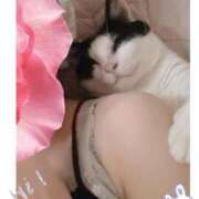 ヒメ日記 2025/11/28 08:33 投稿 ひなこ オナクラ大人女子