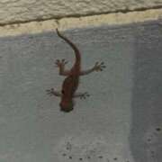 ヒメ日記 2025/12/11 08:39 投稿 ひなこ オナクラ大人女子