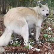 ヒメ日記 2026/04/02 09:19 投稿 ひなこ オナクラ大人女子