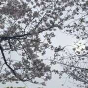 ヒメ日記 2026/04/05 18:43 投稿 ひなこ オナクラ大人女子