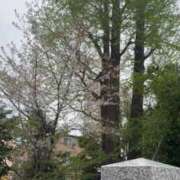 ヒメ日記 2026/04/10 12:39 投稿 ひなこ オナクラ大人女子