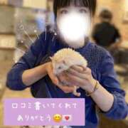 ヒメ日記 2026/07/12 20:29 投稿 ひなこ オナクラ大人女子