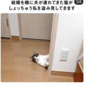 ヒメ日記 2026/09/06 12:17 投稿 ひなこ オナクラ大人女子