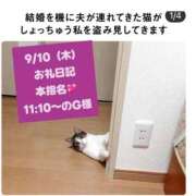 ヒメ日記 2026/09/10 21:47 投稿 ひなこ オナクラ大人女子