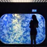 心美いろは だーいすきな🩵🩵 ウルトラプラチナム