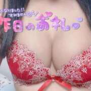 ヒメ日記 2025/10/29 07:33 投稿 玲(れい) 相模原人妻城