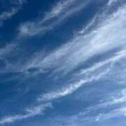 ヒメ日記 2025/11/04 07:54 投稿 まみ 京都祇園・南インターちゃんこ