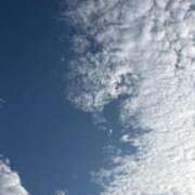 ヒメ日記 2025/11/12 07:55 投稿 まみ 京都祇園・南インターちゃんこ