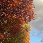 ヒメ日記 2025/11/18 17:03 投稿 まみ 京都祇園・南インターちゃんこ