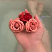 ヒメ日記 2025/11/29 07:50 投稿 まみ 京都祇園・南インターちゃんこ