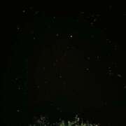 ヒメ日記 2025/11/30 08:05 投稿 まみ 京都祇園・南インターちゃんこ