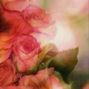 ともこ おはようございます 即アポ奥さん～浜松店～