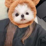 ヒメ日記 2025/11/08 11:51 投稿 雪花　みう NADIA神戸店