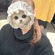 ヒメ日記 2025/11/09 15:02 投稿 雪花　みう NADIA神戸店