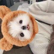 ヒメ日記 2025/11/16 20:01 投稿 雪花　みう NADIA神戸店