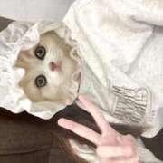 ヒメ日記 2025/11/28 16:51 投稿 雪花　みう NADIA神戸店