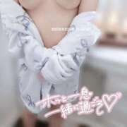 ヒメ日記 2025/11/10 08:00 投稿 なる ミスキャンパス