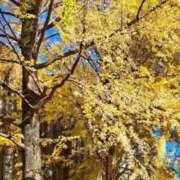 そら 出勤🌞 蒲田ウルトラギャラクシー