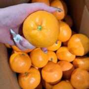 ヒメ日記 2025/12/30 00:32 投稿 そら 蒲田ウルトラギャラクシー