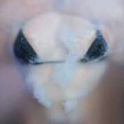 ヒメ日記 2026/01/09 19:18 投稿 そら 蒲田ウルトラギャラクシー