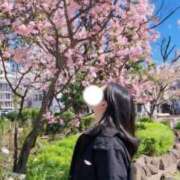 ヒメ日記 2026/04/03 14:22 投稿 そら 蒲田ウルトラギャラクシー