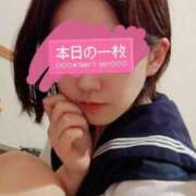 ヒメ日記 2025/11/17 20:01 投稿 はな ちらりずむ 札幌校