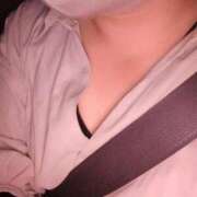 ヒメ日記 2025/11/02 18:23 投稿 ちさと 大高・大府市・東海市ちゃんこ