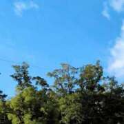 ヒメ日記 2025/11/06 07:33 投稿 ちさと 大高・大府市・東海市ちゃんこ