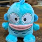 ヒメ日記 2025/12/29 15:03 投稿 ちさと 大高・大府市・東海市ちゃんこ