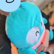 ヒメ日記 2025/12/30 09:18 投稿 ちさと 大高・大府市・東海市ちゃんこ