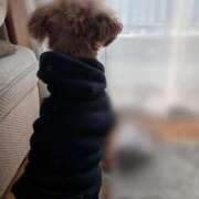 ヒメ日記 2026/01/12 07:23 投稿 ちさと 大高・大府市・東海市ちゃんこ