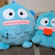 ヒメ日記 2026/01/15 08:13 投稿 ちさと 大高・大府市・東海市ちゃんこ