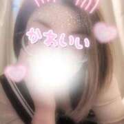 ヒメ日記 2026/02/03 19:23 投稿 ちさと 大高・大府市・東海市ちゃんこ