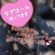 ヒメ日記 2026/02/04 18:19 投稿 ちさと 大高・大府市・東海市ちゃんこ