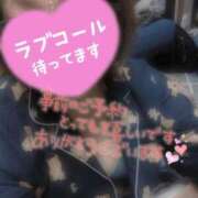 ヒメ日記 2026/02/11 09:53 投稿 ちさと 大高・大府市・東海市ちゃんこ