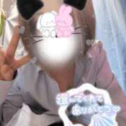 ヒメ日記 2026/03/08 16:53 投稿 ちさと 大高・大府市・東海市ちゃんこ