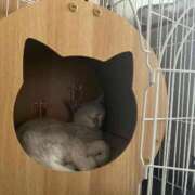 ヒメ日記 2026/03/12 08:43 投稿 ちさと 大高・大府市・東海市ちゃんこ