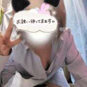 ヒメ日記 2026/04/05 07:53 投稿 ちさと 大高・大府市・東海市ちゃんこ