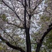 ヒメ日記 2026/04/06 13:53 投稿 ちさと 大高・大府市・東海市ちゃんこ